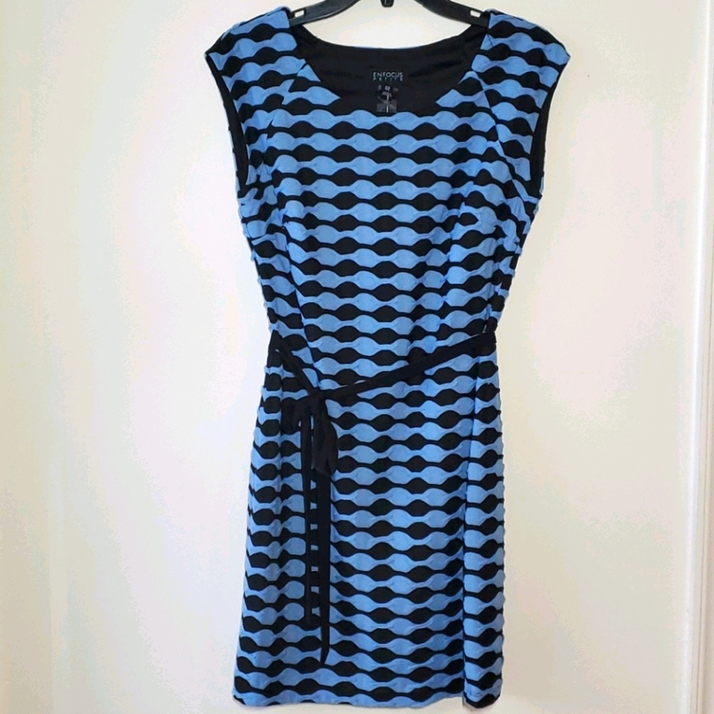 Enfocus Petite Midi Dress.  Sz. 6P